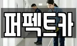 퍼펙트카