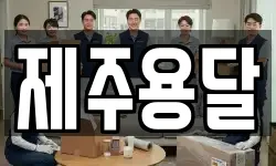 제주용달