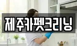 제주카펫크리닝