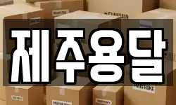 제주용달