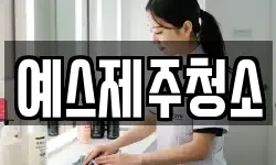 예스제주청소