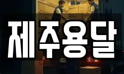 제주용달