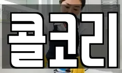 콜코리
