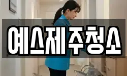 예스제주청소