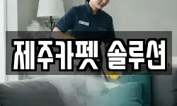 제주카펫 솔루션