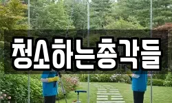 청소하는총각들