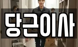 당근이사