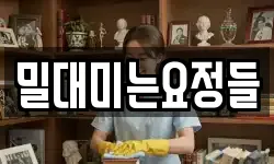 밀대미는요정들