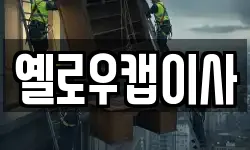 옐로우캡이사