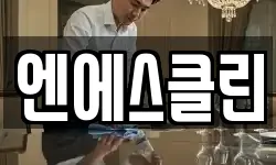 엔에스클린