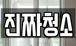 진짜청소