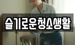 슬기로운청소생활