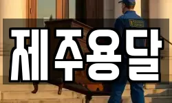 제주용달