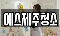 예스제주청소