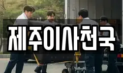 제주이사천국