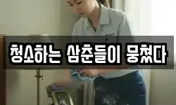 청소하는 삼춘들이 뭉쳤다