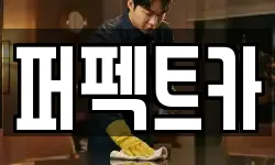 퍼펙트카