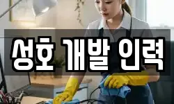 성호 개발 인력