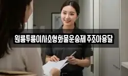 원룸투룸이사소형화물운송제주조아용달