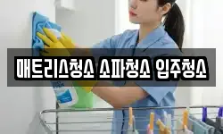 매트리스청소 소파청소 입주청소