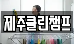 제주클린챔프