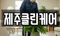제주클린케어