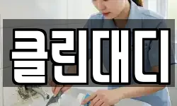 클린대디