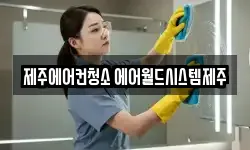 제주특별자치도 제주시 청소,입주청소,사무실청소,에어컨청소