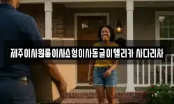 제주이사원룸이사소형이사동글이엘리카 사다리차