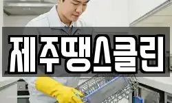 제주땡스클린