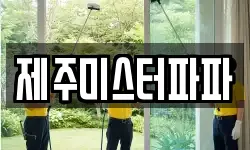 제주미스터파파