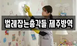 벌레잡는총각들 제주방역