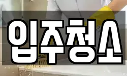 입주청소