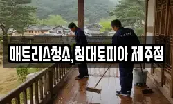매트리스청소,침대토피아 제주점