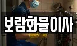 보람화물이사