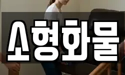 소형화물