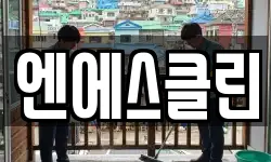 엔에스클린
