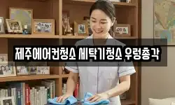 제주에어컨청소 세탁기청소 우렁총각