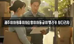 제주이사원룸이사소형이사동글이엘리카 사다리차