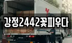 강정2442꽃피우다
