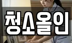 청소올인