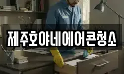 제주호야네에어콘청소