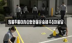 원룸투룸이사소형화물운송제주조아용달
