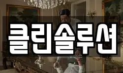 클린솔루션