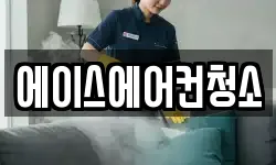 에이스에어컨청소