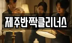 제주반짝클리너스