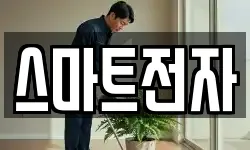 스마트전자