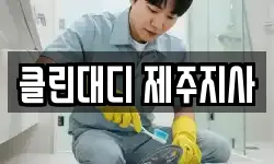 제주 서귀포시 서귀동 청소,입주청소,사무실청소,에어컨청소