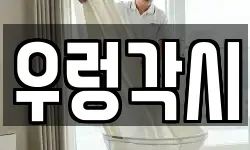 제주 서귀포시 서호동 청소,입주청소,사무실청소,에어컨청소