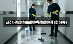 제주사무실청소이사청소화장실청소정기청소센터
